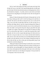 Lý luận và tình huống thực tiễn về vấn đề nuôi con nuôi