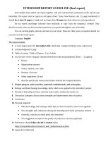 2  internship report guideline (2)