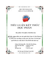 Quan điểm của chủ nghĩa Mác-Lênin về vấn đề dân tộc và chính sách của Đảng và nhà nước Việt Nam về vấn đề giải quyết dân tộc và đặc biệt về vấn đề biển đảo hiện nay