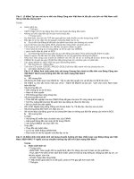 HAUI Đề cương tự luận lịch sử đảng