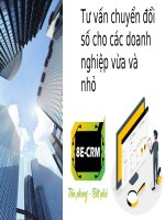 Báo cáo triển khai quản trị quan hệ khách hàng điện tử