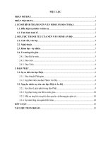 Nguyên nhân suy tàn của Phật giáo ở Ấn Độ