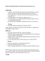 PHÂN TÍCH MÔ HÌNH SWOT tập đoàn HOÀNG ANH GIA LAI