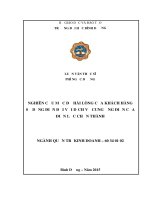 Nghiên cứu mức độ hài lòng của khách hàng sử dụng điện lực đối với dịch vụ cung ứng điện của điện lực chơn thành  pdf 