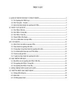 Tìm hiểu về Đạo Mẫu lịch sử hình thánh và phát triển