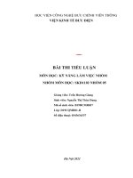 TIỂU LUẬN KỸ NĂNG LÀM VIỆC NHÓM