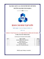 BÁO cáo bài tập lớn môn học vật lý đại CƯƠNG vẽ QUỸ đạo của vật THEO PHƯƠNG TRÌNH CHUYỂN ĐỘNG 