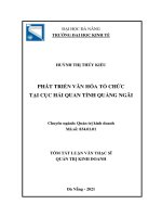 Phát triển văn hóa tổ chức tại cục hải quan tỉnh quảng ngãi (tóm tắt) 
