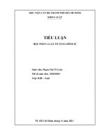 Phân biệt người làm chứng và người chứng kiến theo quy định của bộ luật tố tụng hình sự việt nam năm 2015 cho ví dụ người làm chứng và người chứng kiến 