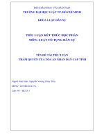 TIỂU LUẬN LUẬT tố TỤNG dân sự đề tài THẨM QUYỀN của tòa án NHÂN dân cấp TỈNH 