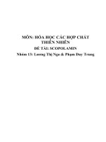 MÔN hóa học các hợp CHẤT THIÊN NHIÊN đề tài scopolamin 