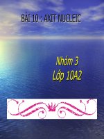 Bài 10. Axit nuclêic