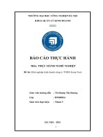 Báo cáo thực hành nghề nghiệp: khởi nghiệp công ty sản xuất nước ép, phân bón và tinh dầu