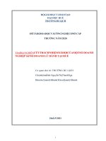 NGHIÊN CỨU TRÁCH NHIỆM XÃ HỘI CỦA MỘT SỐ DOANH NGHIỆP KINH DOANH LỮ HÀNH TẠI HUẾ