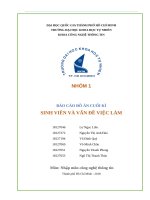 BÁO CÁO ĐỒ ÁN CUỐI KÌSINH VIÊN VÀ VẤN ĐỀ VIỆC LÀM