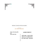 BÁO cáo THỰC HIỆN dự án chuyên đề tìm hiểu thực trạng và xây dựng kế hoạch digital marketing cho dịch vụ ngân hàng thương mại cổ phần tiên phong 