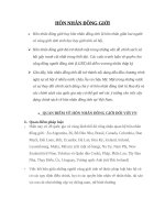 HÔN NHÂN ĐỒNG GIỚI  TÌM HIỂU VỀ HÔN NHÂN ĐỒNG GIỚI