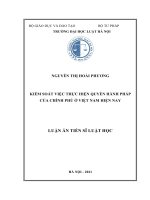 Kiểm soát việc thực hiện quyền hành pháp của Chính phủ ở Việt Nam hiện nay
