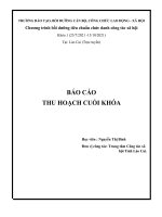 BÁO cáo THU HOẠCH CUỐI KHÓA trung tâm công tác xã hội tỉnh lào cai đạo đức nghề nghiệp công tác xã hội viên 2 