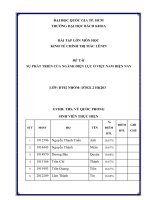 BÀI tập lớn môn học KINH tế CHÍNH TRỊ mác LÊNIN đề tài sự PHÁT TRIỂN của NGÀNH điện lực ở VIỆT NAM HIỆN NAY 