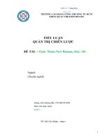 TIỂU LUẬN QUẢN TRỊ CHIẾN lược đề tài  font times new roman, size 18 
