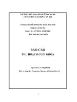 BÁO cáo THU HOẠCH CUỐI KHÓA trung tâm công tác xã hội tỉnh lào cai đạo đức nghề nghiệp công tác xã hội viên 