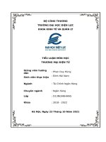 Tiểu Luận Môn Thương mại điện tử