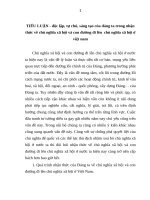 TIỂU LUẬN   độc lập, tự chủ, sáng tạo của đảng ta trong nhận thức về chủ nghĩa xã hội và con đường đi lên  chủ nghĩa xã hội ở việt nam