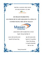 KẾ HOẠCH MARKETING SẢN PHẨM MÌ ĂN LIỀN OMACHI CỦA CÔNG TY CỔ PHẦN HÀNG TIÊU DÙNG MASAN.doc