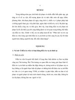 Tiểu luận Phân tích vai trò của điều tra viên trong quá trình điều tra vụ án hình sự (hỏi cung bị can; lấy lời khai người làm chứng, người bị hại; đối chất; nhận dạng)