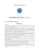 thảo luận hình sự 11 12 13