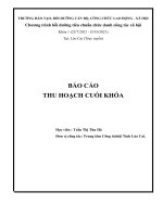 BÁO cáo THU HOẠCH CUỐI KHÓA trung tâm công tác xã hội tỉnh lào cai đạo đức nghề nghiệp công tác xã hội viên 3 