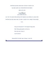 CÁC yếu tố ẢNH HƯỞNG đến QUYẾT ĐỊNH đi làm THÊM của SINH VIÊN TRƯỜNG đại học KHOA học xã hội và NHÂN văn   ĐHQG TP HCM HIỆN NAY 