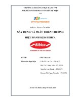 TIỂU LUẬN xây DỰNG và PHÁT TRIỂN THƯƠNG HIỆU 