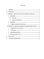 Anh chị hãy phân tích nguyên tắc nhân đạo trong Luật Hình sự Việt Nam