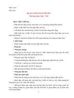 Giáo án ngữ văn 6, sách kết nối tri thức với cuộc sống (bài 10) 