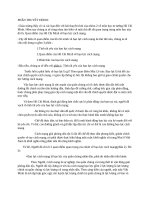 Quan điểm của Hồ Chí Minh về bạo lực cách mạng