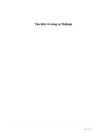 Công cụ Maltego và Demo