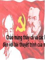 Các tiền đề tư tưởng lý luận hình thành tư tưởng Hồ Chí Minh và Tiền đề quan trọng nhất trong quá trình hình thành và phát triển tư tưởng Hồ Chí Minh