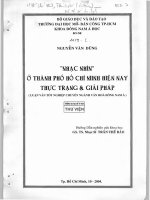 Nhạc nhìn ở thành phố hồ chí minh hiện nay thực trạng  giải pháp khóa luận tốt nghiệp đại học  