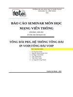 BÁO cáo SEMINAR môn học MẠNG VIỄN THÔNG TỔNG đài PBX, hệ THỐNG TỔNG đài IP VOIP,TỔNG đài VOIP 