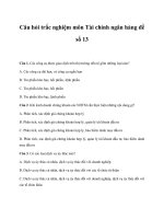 Câu hỏi trắc nghiệm môn Tài chính ngân hàng đề số 13