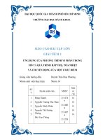 BÁO CÁO BÀI TẬP LỚN GIẢI TÍCH 1 ỨNG DỤNG CỦA PHƯƠNG TRÌNH VI PHÂN TRONG MÔ TẢ QUÁ TRÌNH HẤP THỤ, TỎA NHIỆT   VÀ CHUYỂN ĐỘNG CỦA MỘT CHẤT ĐIỂM