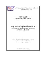 TÂM LÝ HỌC PHÁT TRIỂN: ĐẶC ĐIỂM ĐỜI SỐNG TÌNH CẢM  NỀN MÓNG NHÂN CÁCH BAN ĐẦU  Ở TRẺ MẪU GIÁO