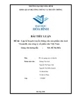 BÀI TIỂU LUẬN Đề tài Lập kế hoạch truyền thông cho sản phẩm sữa tươiVinamilk của công ty cổ phần sữa Việt Nam