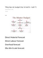 Tổng hợp các budget Kế toán quản trị