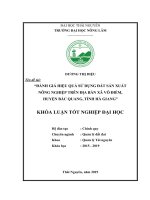 Khóa luận Đánh giá hiệu quả sử dụng đất sản xuất nông nghiệp trên địa bàn xã Vô Điếm, huyện Bắc Quang, tỉnh Hà Giang