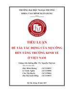 FTU TIỂU LUẬN TÀI CHÍNH CÔNG  TÁC ĐỘNG CỦA NỢ CÔNG đến TĂNG TRƯỜNG KINH TẾ ở VIỆT NAM