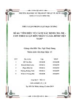 TIỂU LUẬN PHÁP LUẬT đại CƯƠNG đề tài tìm HIỂU về CÁCH xác ĐỊNH CHA mẹ   CON THEO LUẬT hôn NHÂN và GIA ĐÌNH VIỆT NAM