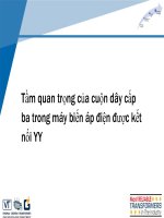 TIỂU LUẬN tầm quan trọng của cuộn dây cấp ba trong máy biến áp điện được kết nối YY